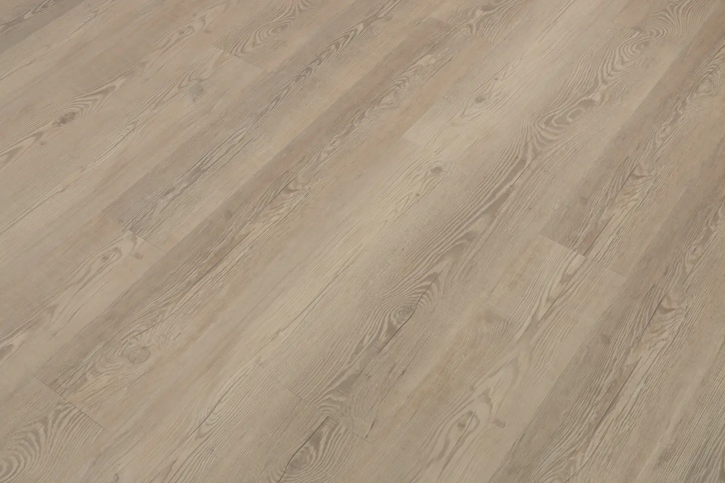 Brigantine Pine view 2